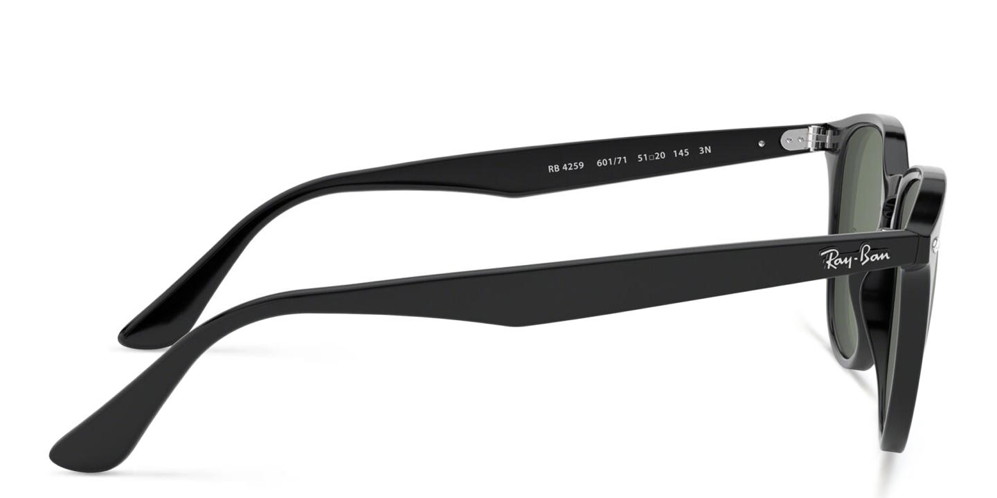 Ray-Ban Panthos Sunglasses in Black – Product Photo 2