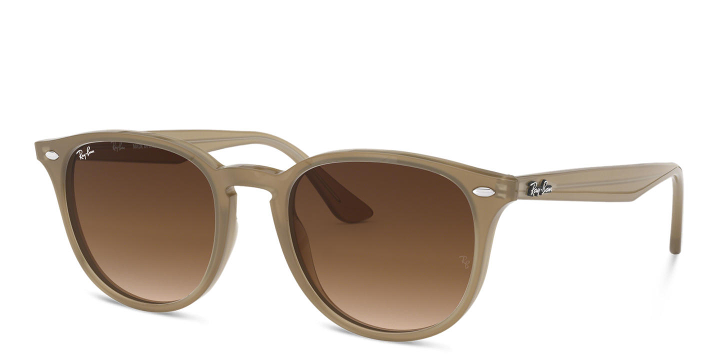 Ray-Ban Unisex Panthos Sunglasses in Brown – Product Photo 1