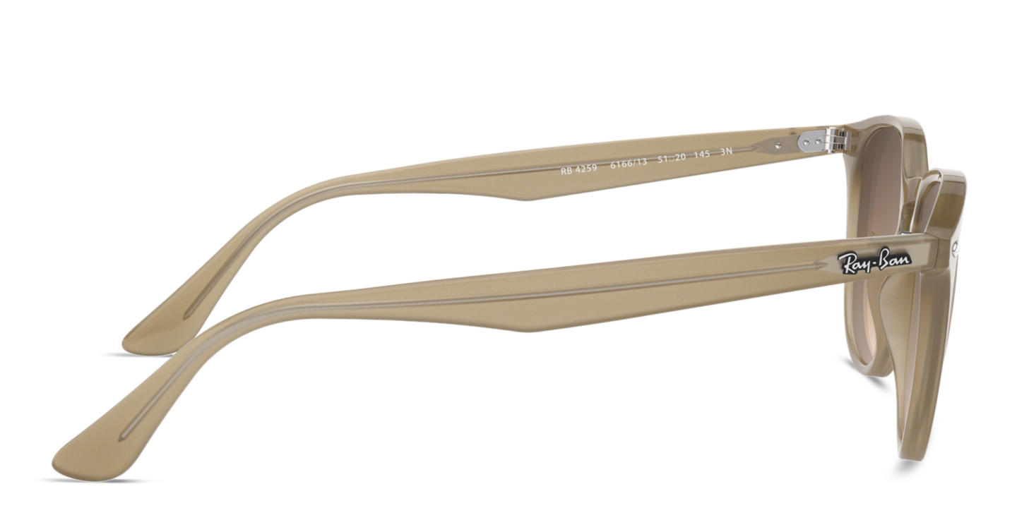 Ray-Ban Unisex Panthos Sunglasses in Brown – Product Photo 2