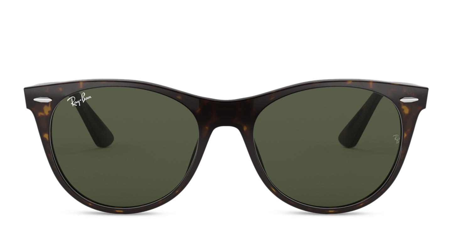 Ray-Ban Unisex Panthos Sunglasses in Tortoise – Product Photo 0