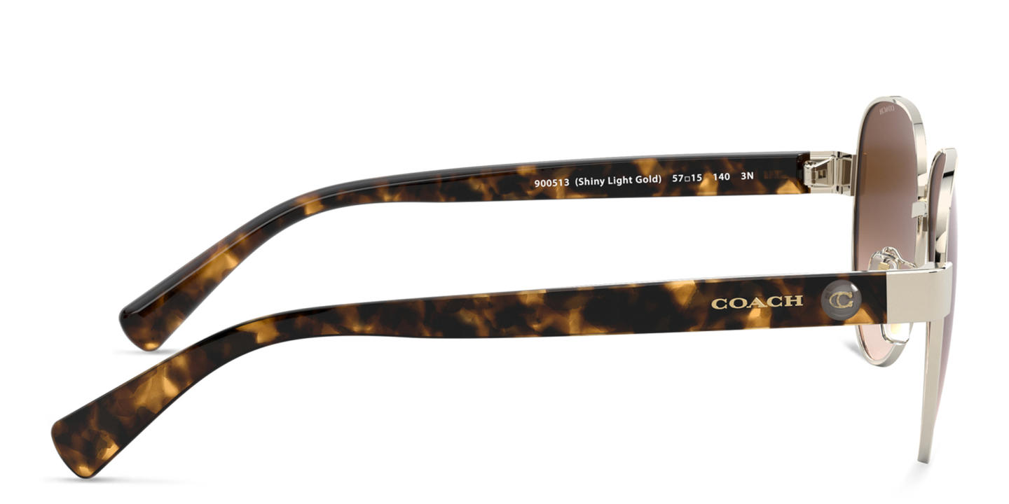 Coach Aviator Sunglasses in Brown – Product Photo 2