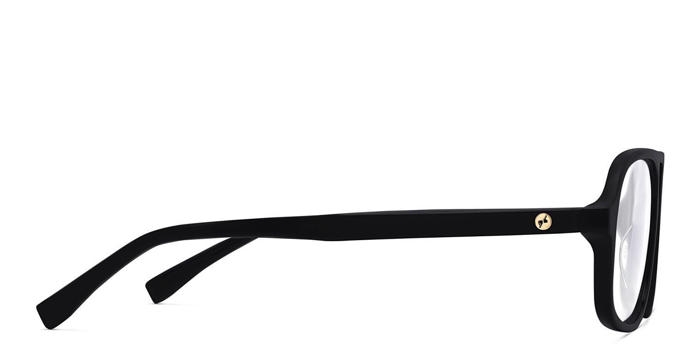 EYE'M Aviator Eyeglasses in Black Gold – Product Photo 3