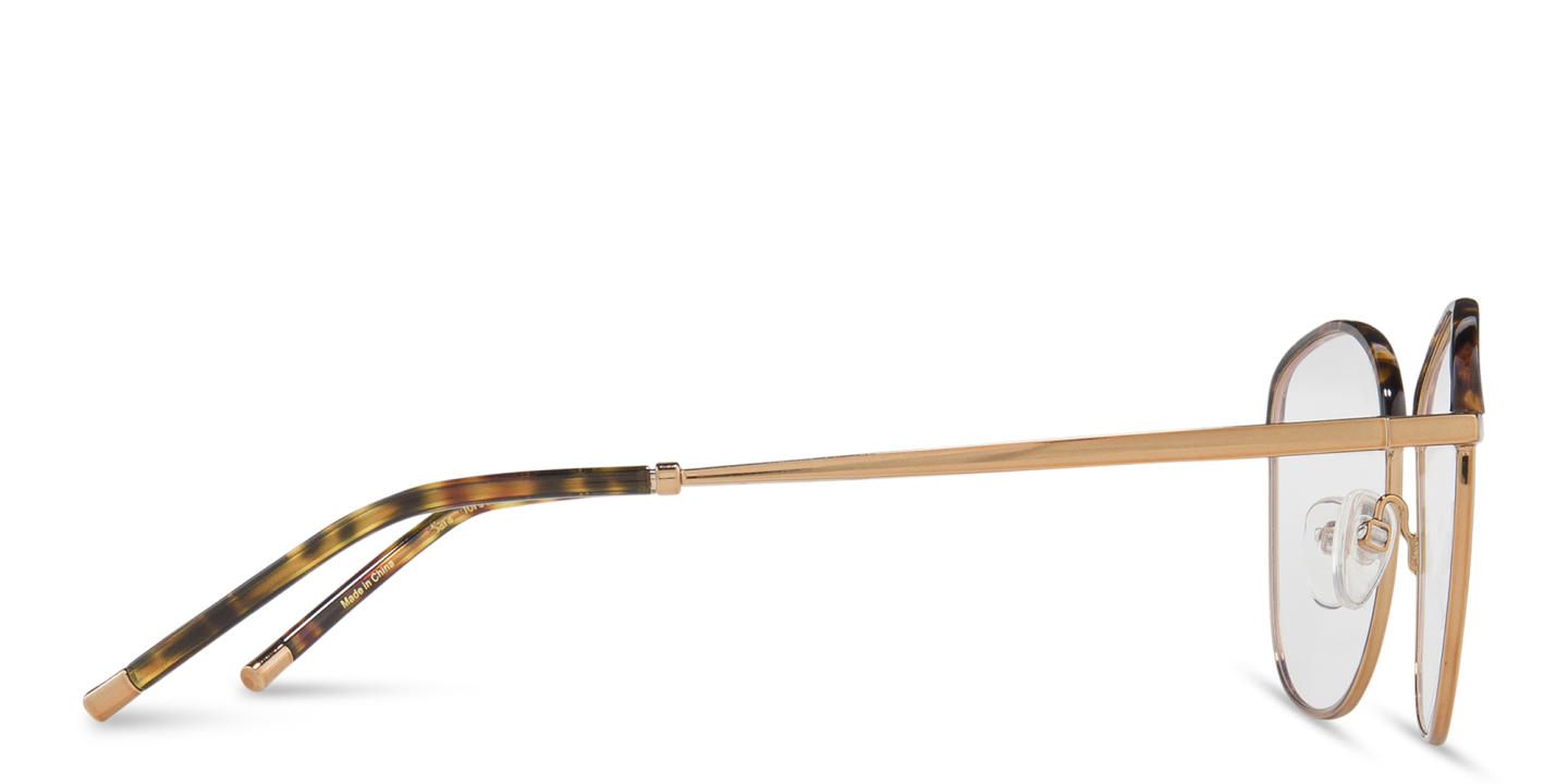 Shop Belvie Square Eyeglasses in Tortoise online.