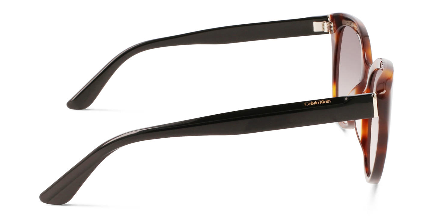 Calvin Klein Cat-Eye Sunglasses in Brown – Product Photo 2