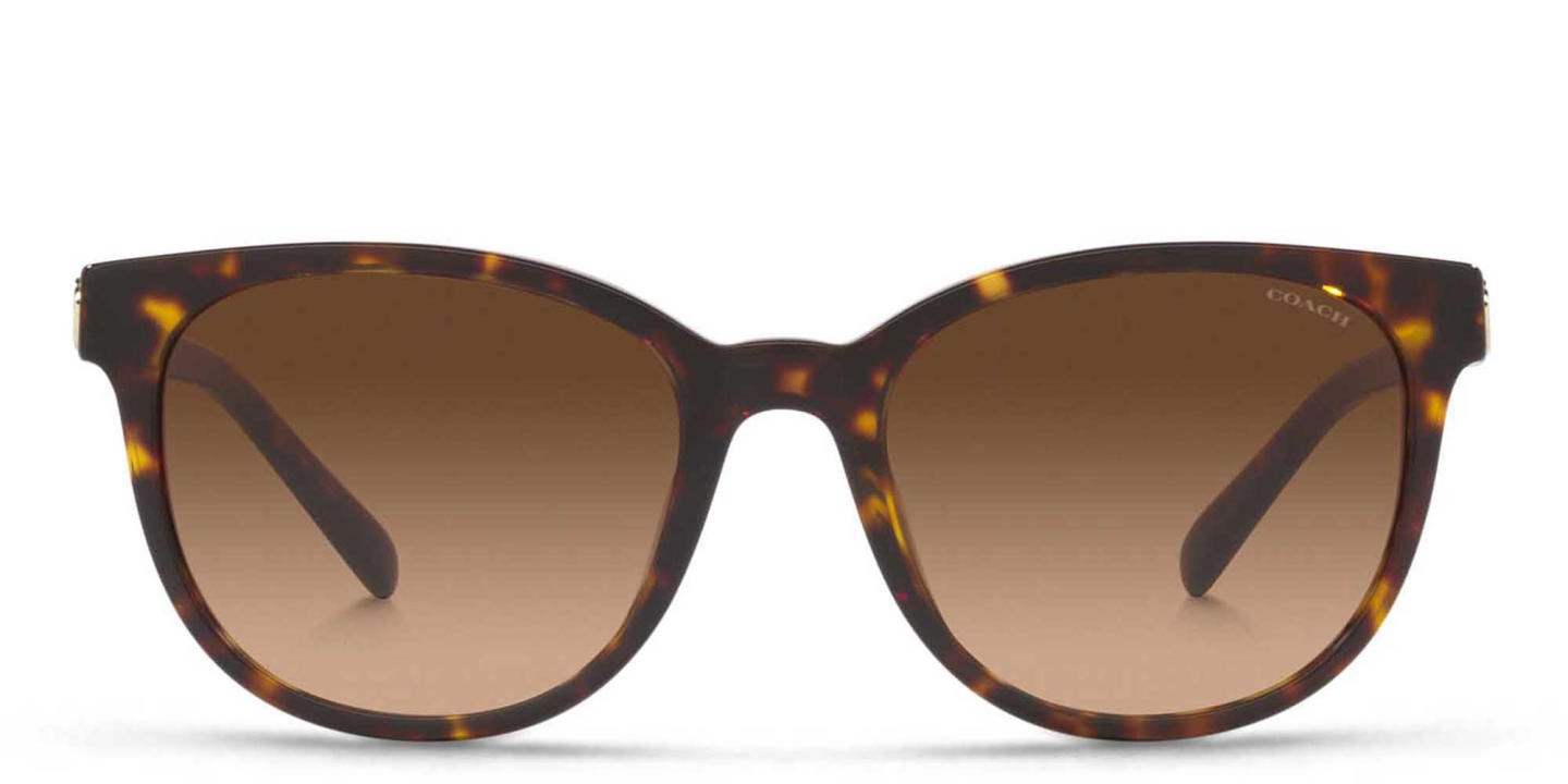 Shop Coach Horse and Carriage Logo Round Sunglasses in Havana online.