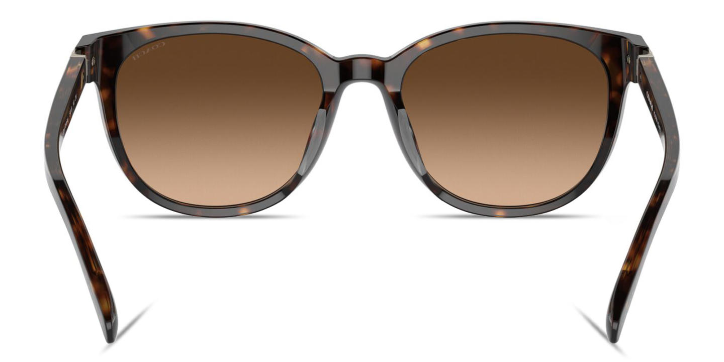 Shop Coach Horse and Carriage Logo Round Sunglasses in Havana online.
