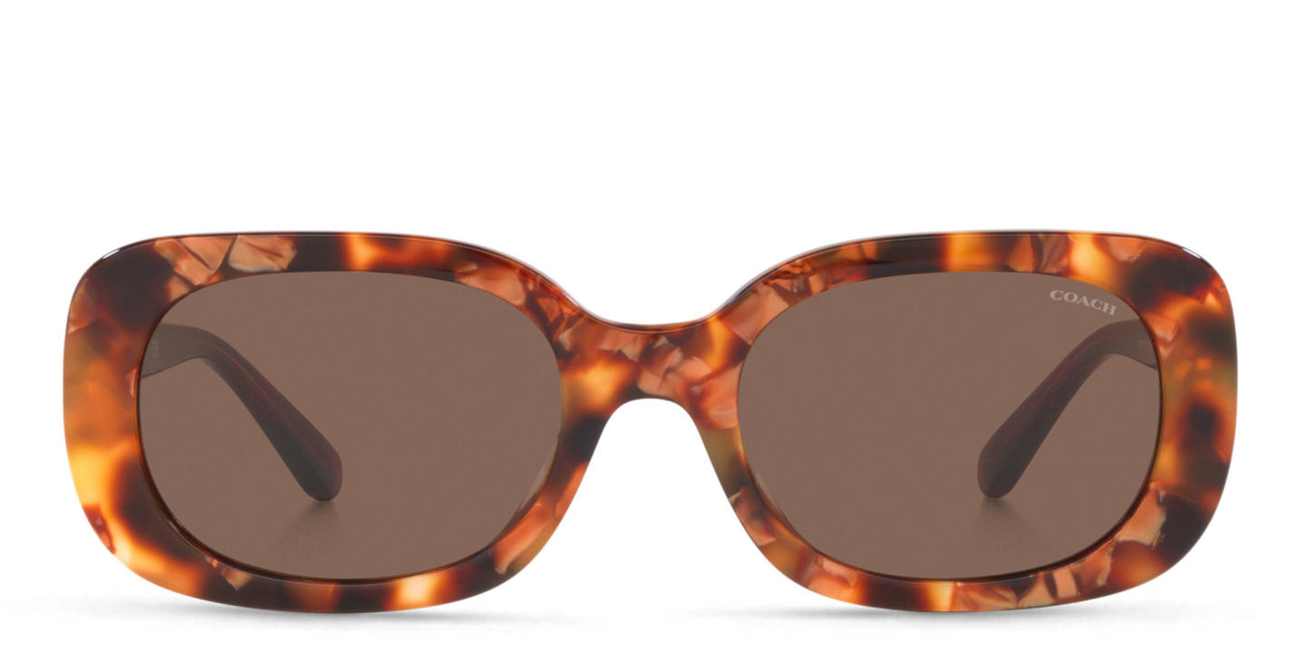Coach Round Sunglasses in Havana – Product Photo 0