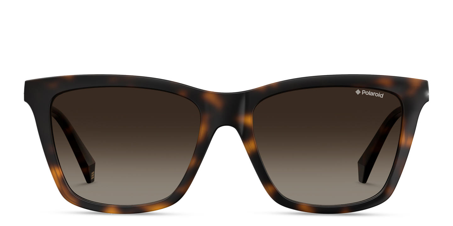 Polaroid Square Sunglasses in Havana – Product Photo 0