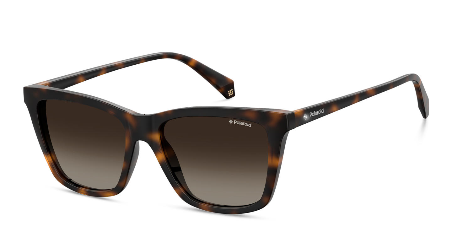 Polaroid Square Sunglasses in Havana – Product Photo 1