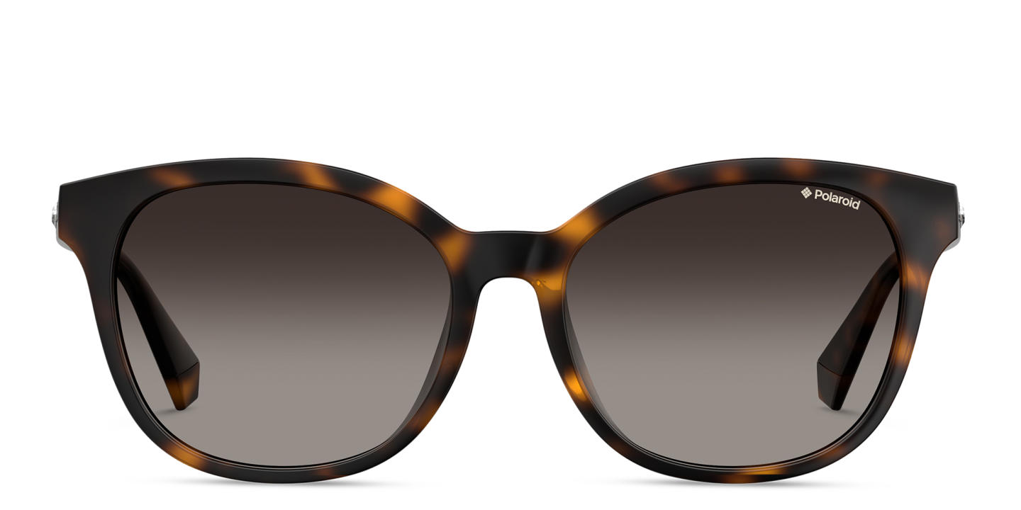 Shop Polaroid Square Sunglasses in Havana online.