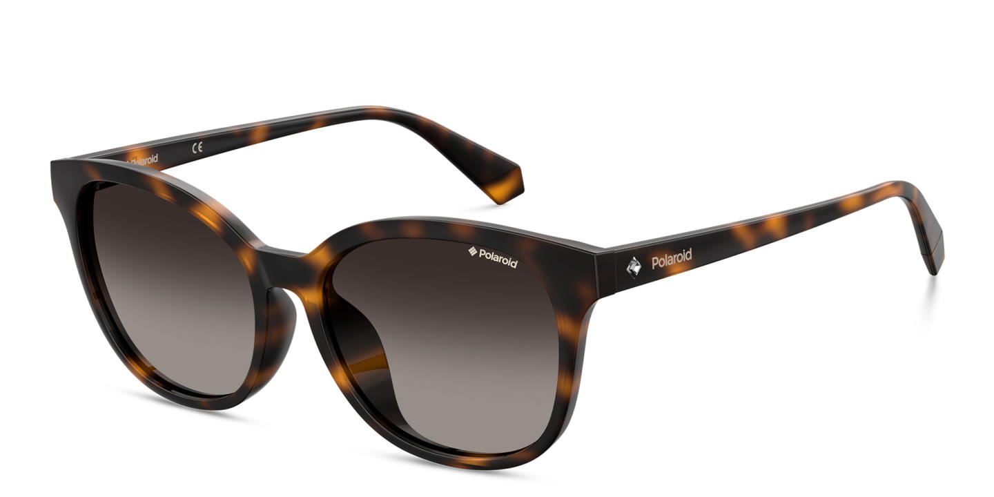Shop Polaroid Square Sunglasses in Havana online.