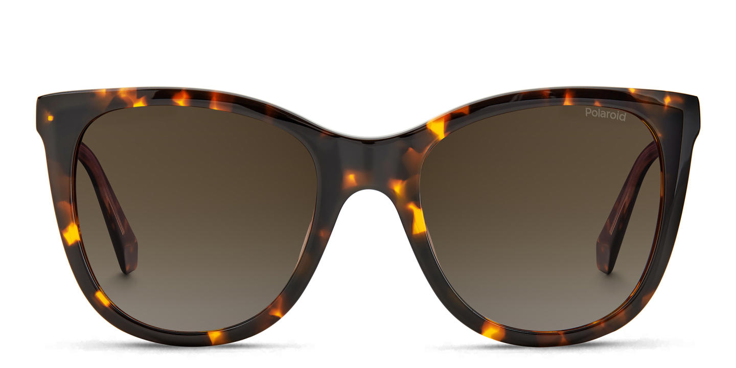 Polaroid Oversized Square Sunglasses in Havana – Product Photo 0