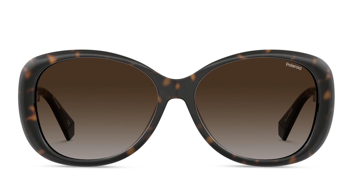 Polaroid Square Sunglasses in Havana – Product Photo 0