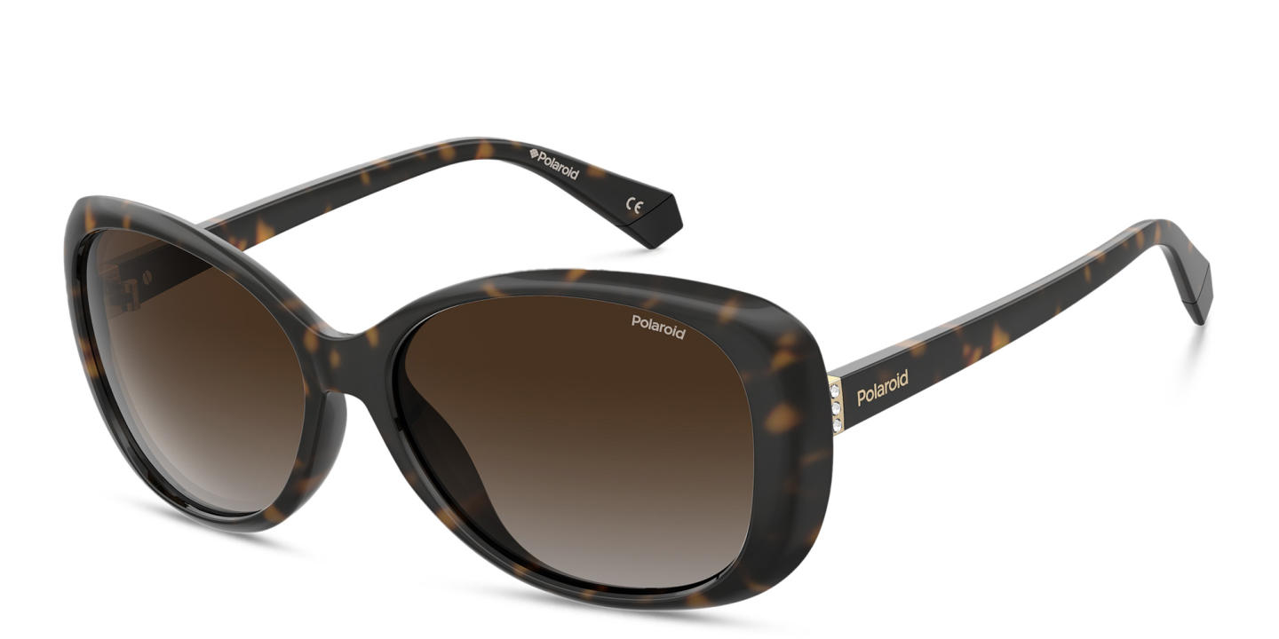 Polaroid Square Sunglasses in Havana – Product Photo 1