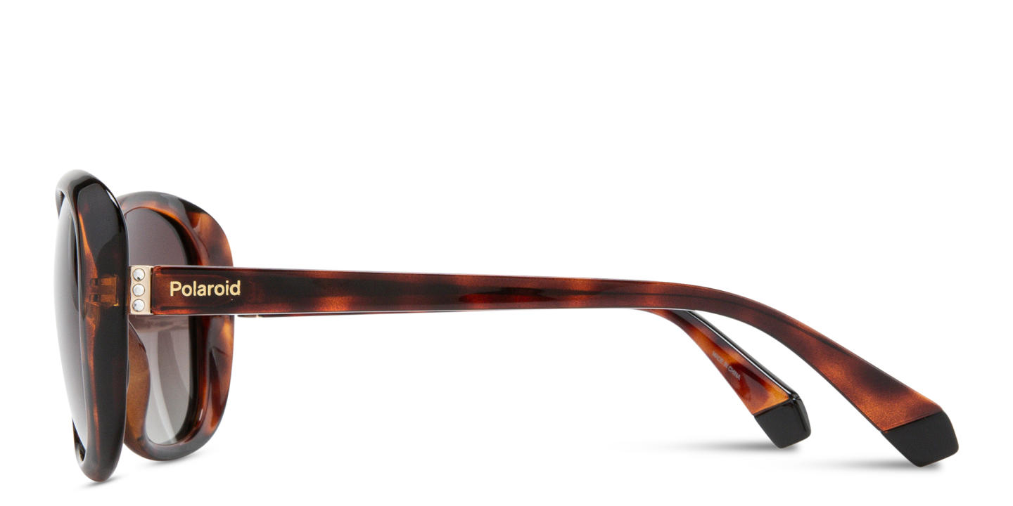 Polaroid Square Sunglasses in Havana – Product Photo 3
