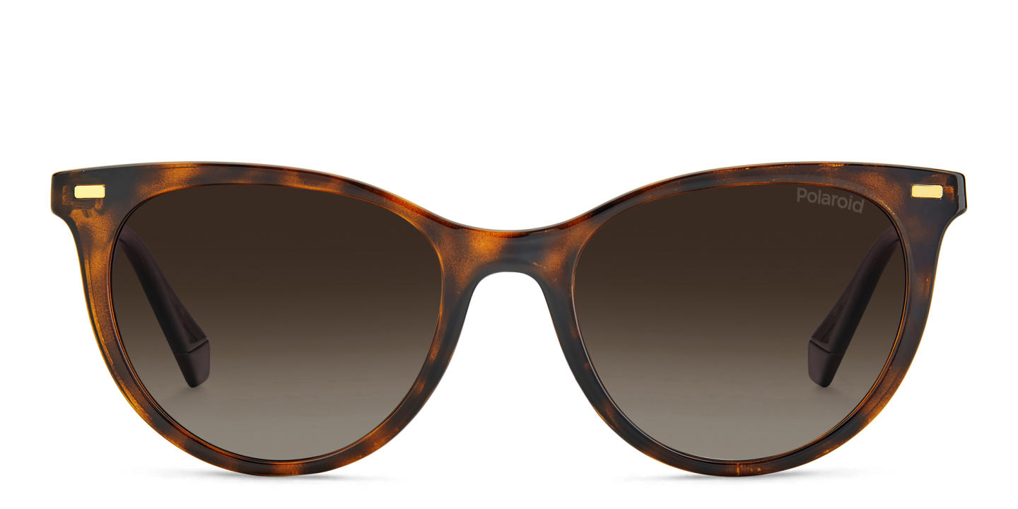 Shop Polaroid Cat-Eye Sunglasses in Havana online.