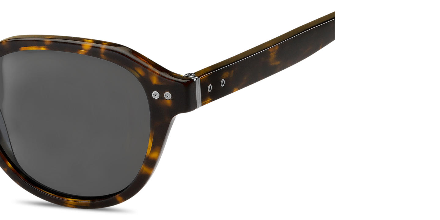 Shop Tommy Hilfiger Logo Lettering Panthos Sunglasses in Havana online.