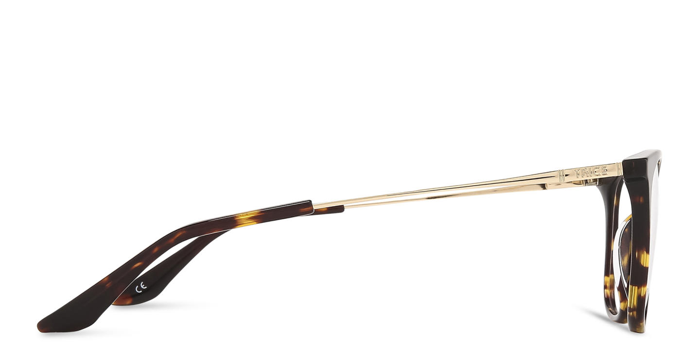 TRICE Square Eyeglasses in Tortoise – Product Photo 3