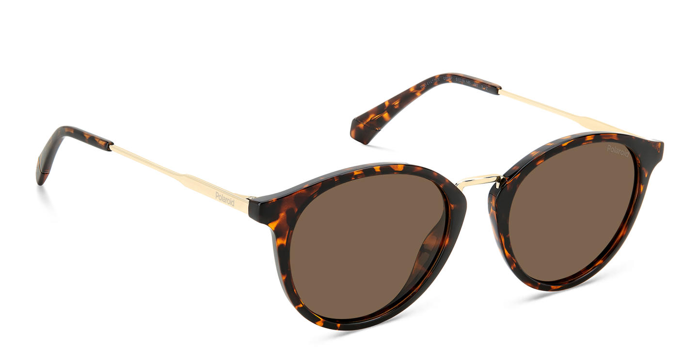 Shop Polaroid Unisex Round Sunglasses in Havana online.