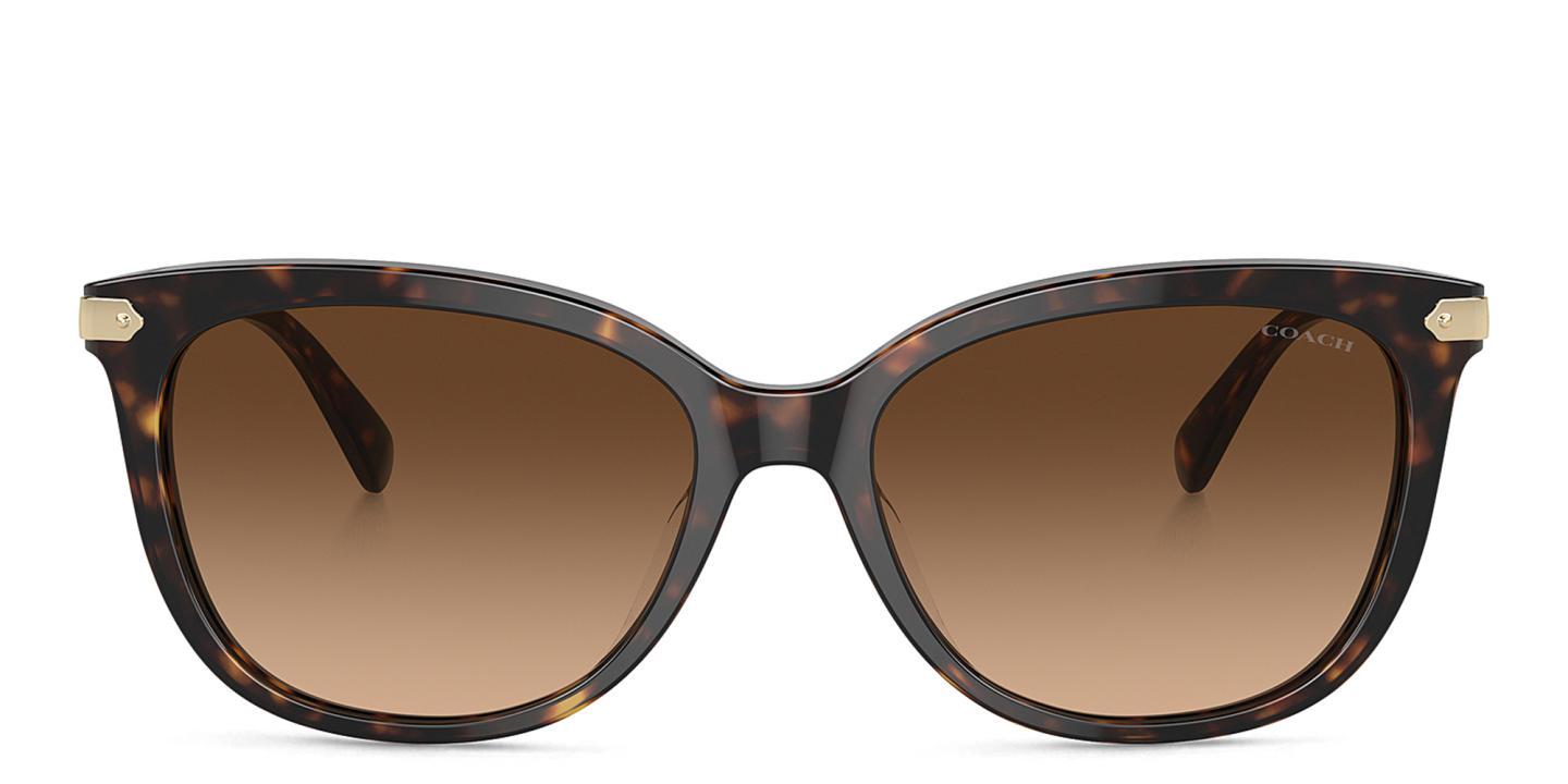 Shop Coach Logo Signature Cat-Eye Sunglasses in Dark Tortoise online.