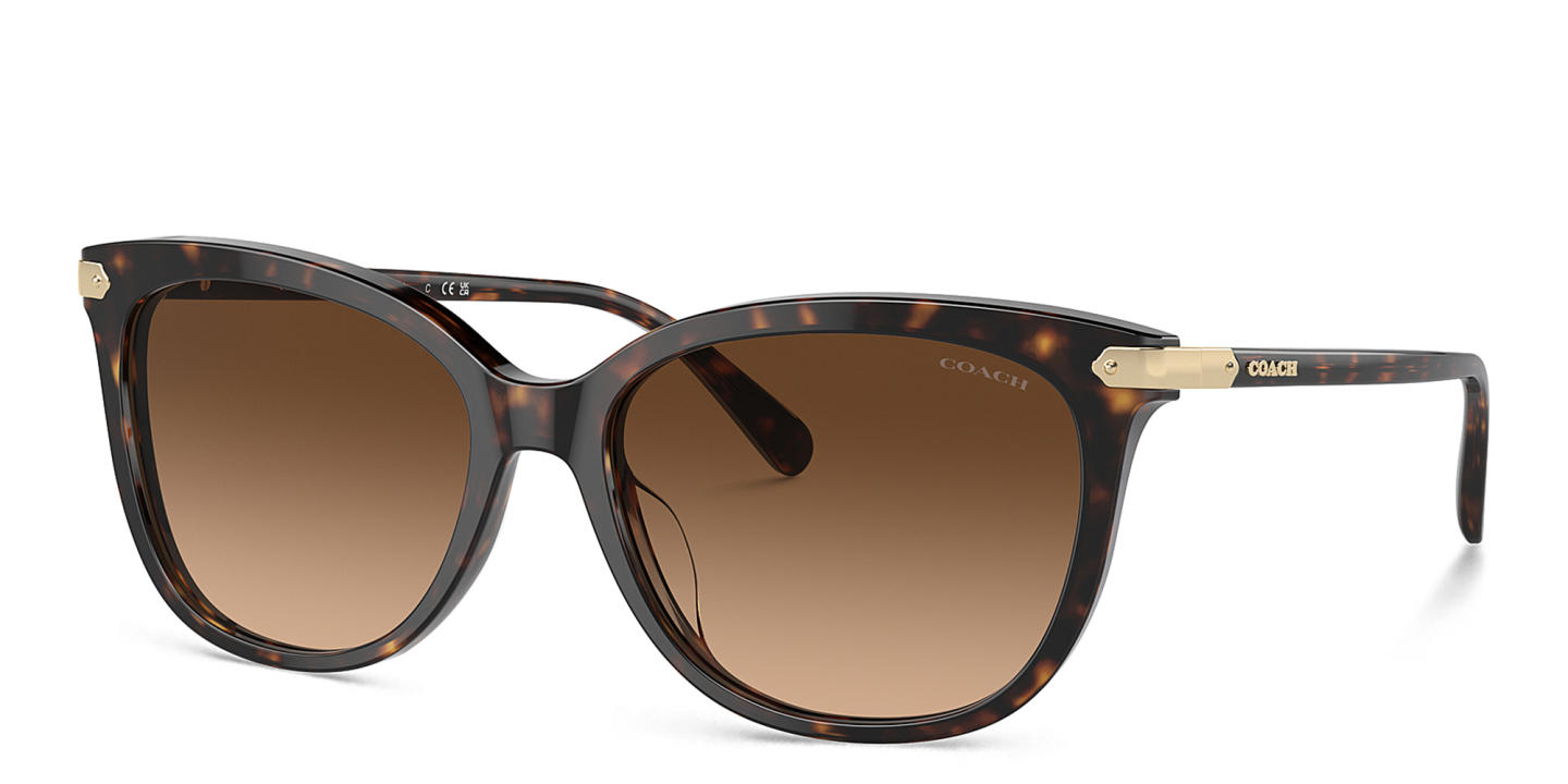 Shop Coach Logo Signature Cat-Eye Sunglasses in Dark Tortoise online.