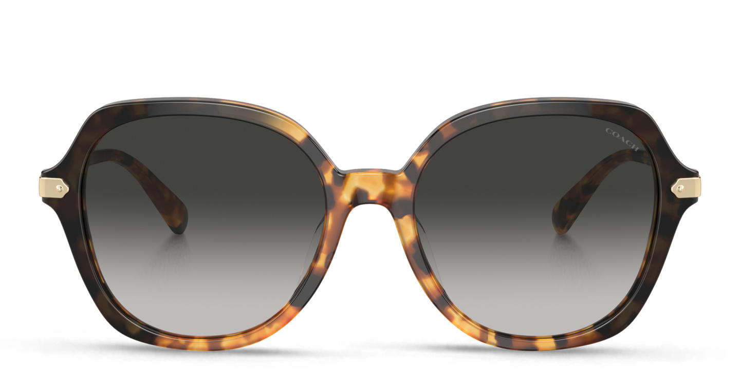 Coach Logo in Tortoise – Product Photo 0