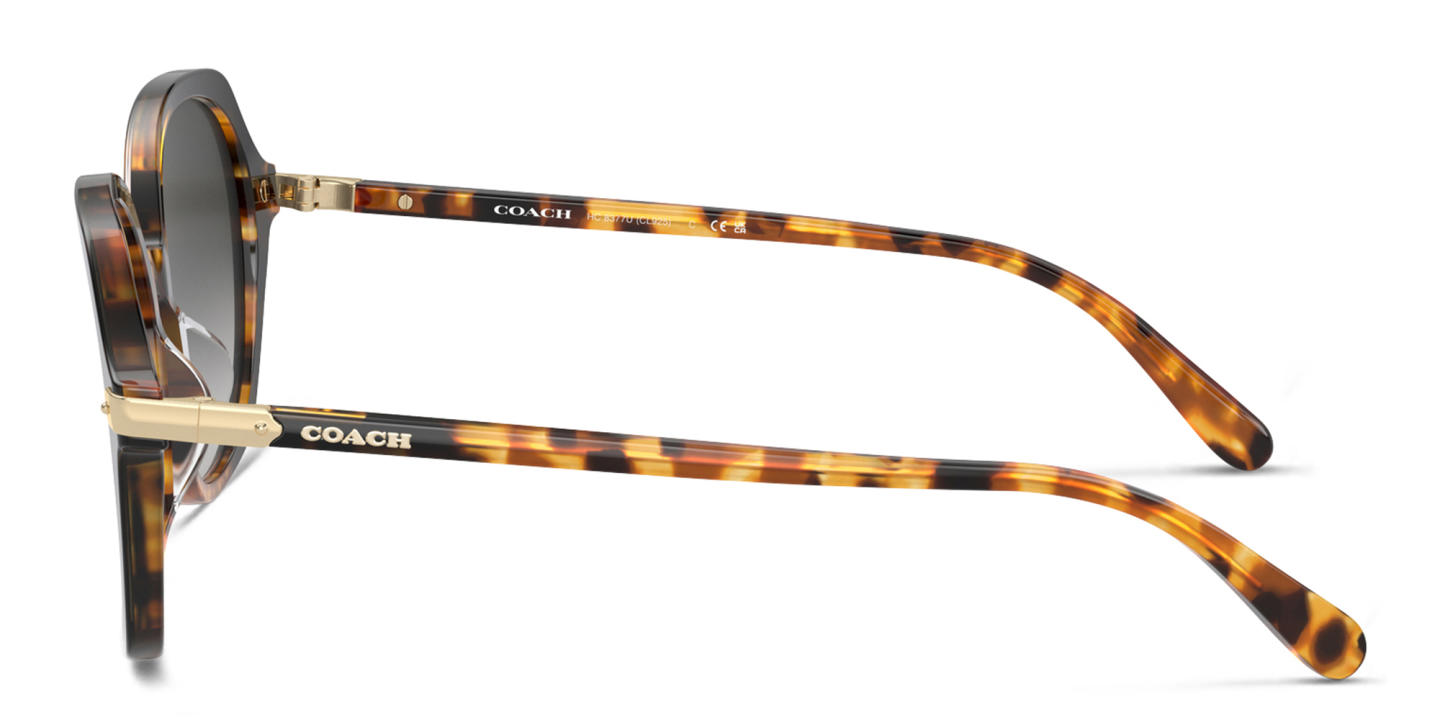 Shop Coach Logo-Print Oversized Round Sunglasses in Tortoise online.