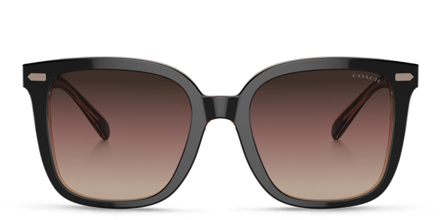 Shop Coach C Motif Oversized Square Sunglasses in Black online.