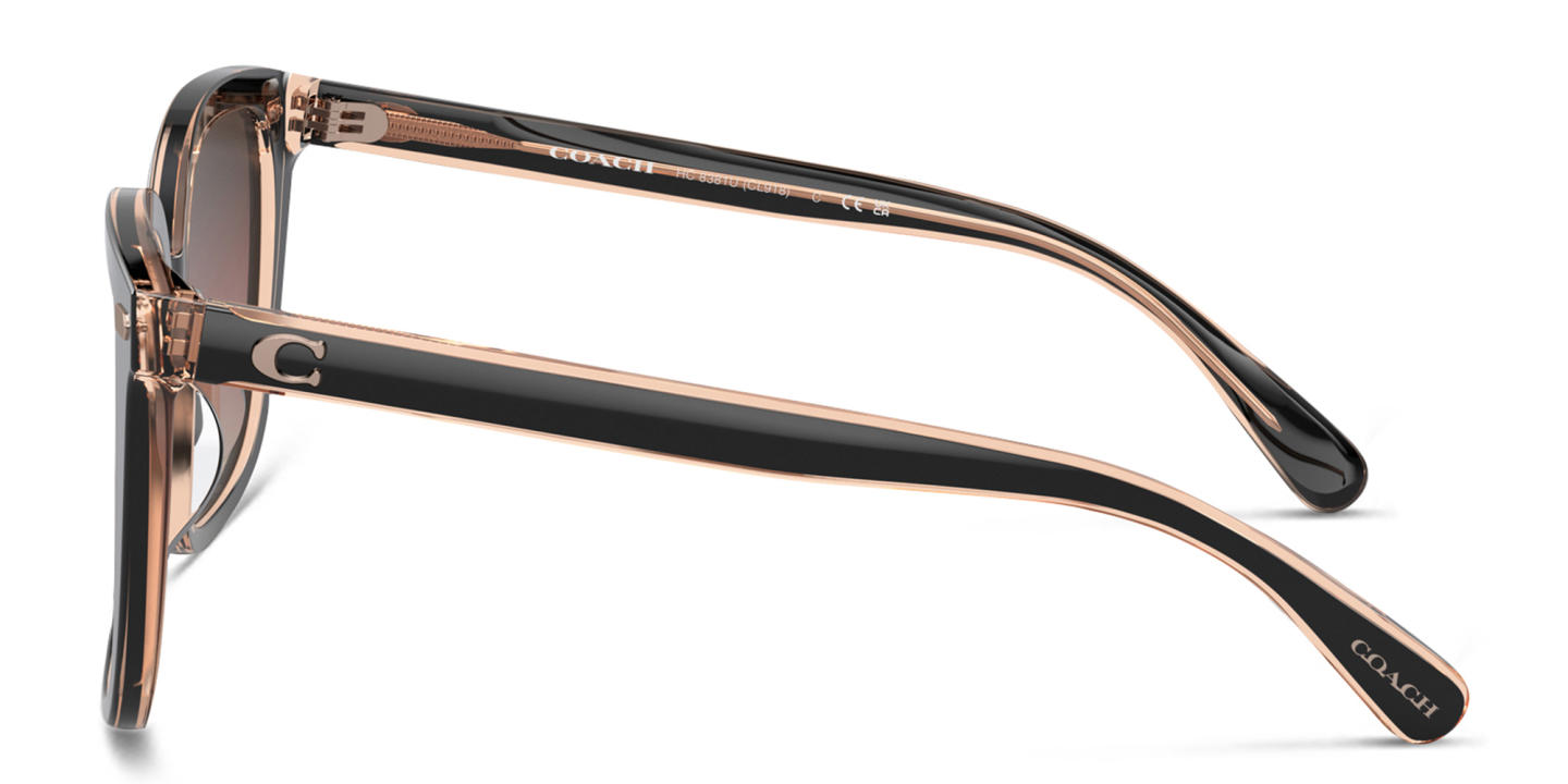 Shop Coach C Motif Oversized Square Sunglasses in Black online.