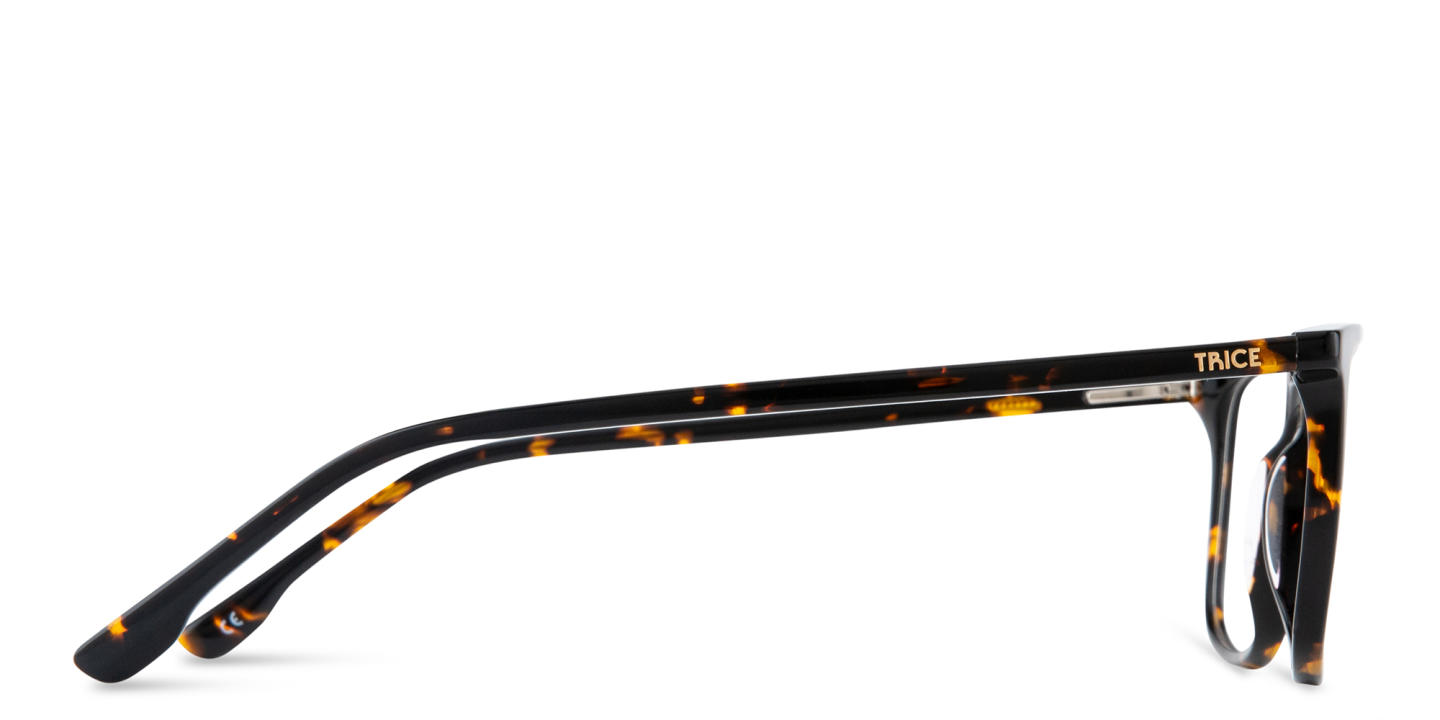 Shop TRICE Logo Unisex Square Eyeglasses in Havana online.