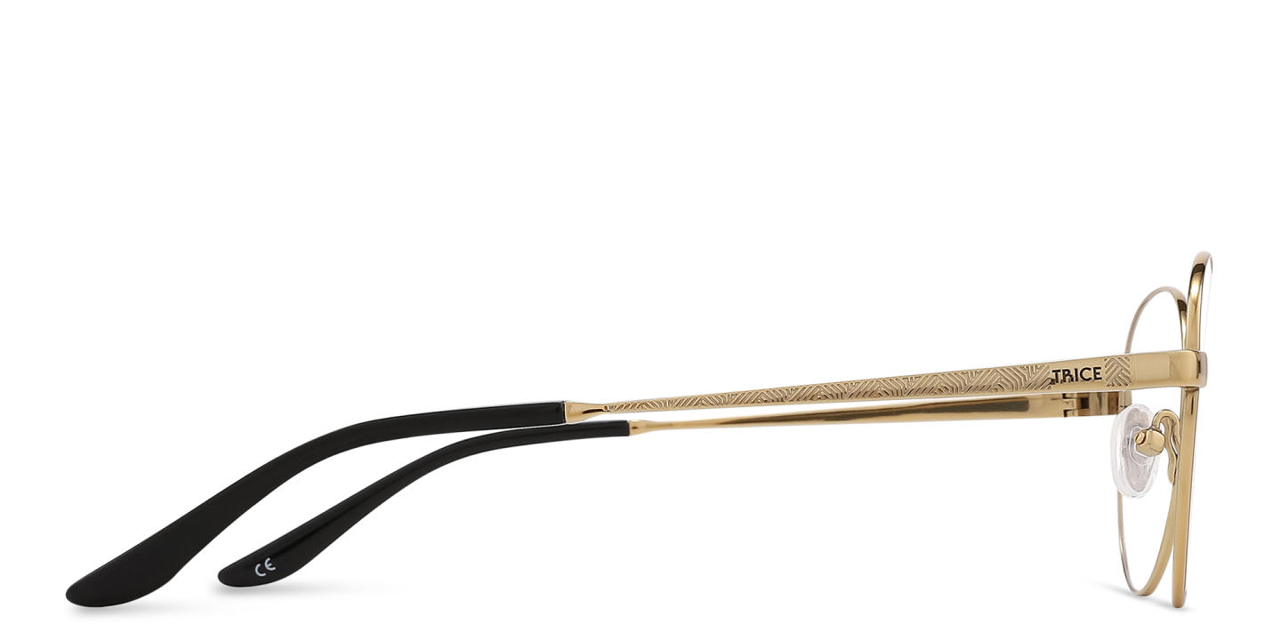 نظارات طبية دائرية بشعار العلامة من TRICE بلون جولد بلاك - صورة المنتج 3
