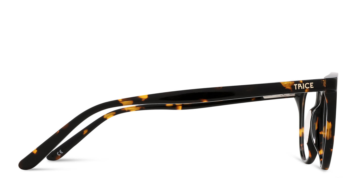 Shop TRICE Logo Kids Cat-Eye Eyeglasses in Havana online.