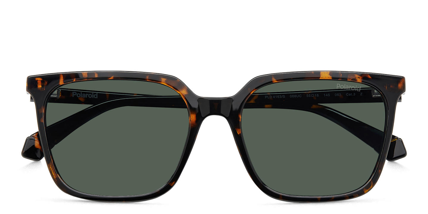 Polaroid Logo Square Sunglasses in Havana – Product Photo 2