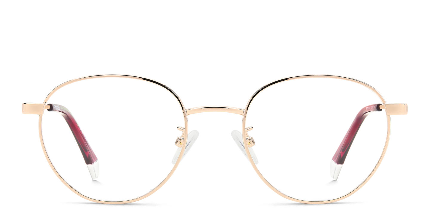 Polaroid Logo Unisex Round Eyeglasses in Rose Gold – Product Photo 0