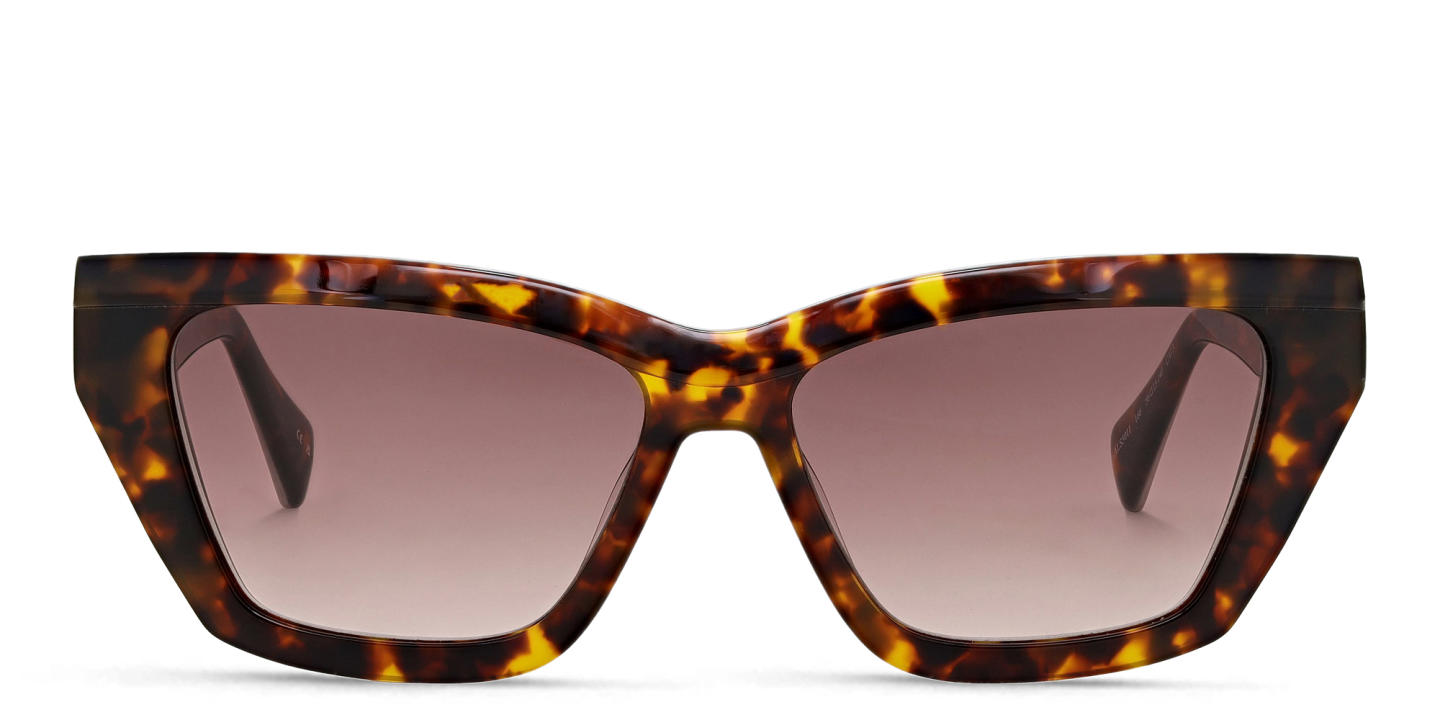 Shop ALL SAINTS Logo Cat-Eye Sunglasses in Tortoise online.
