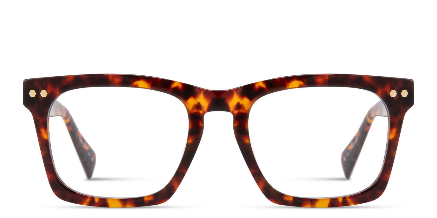 Shop ALL SAINTS Logo Square Eyeglasses in Brown online.