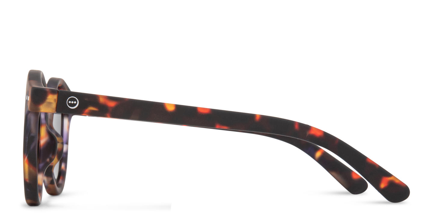 Izipizi Logo Unisex Round Sunglasses in Tortoise – Product Photo 2