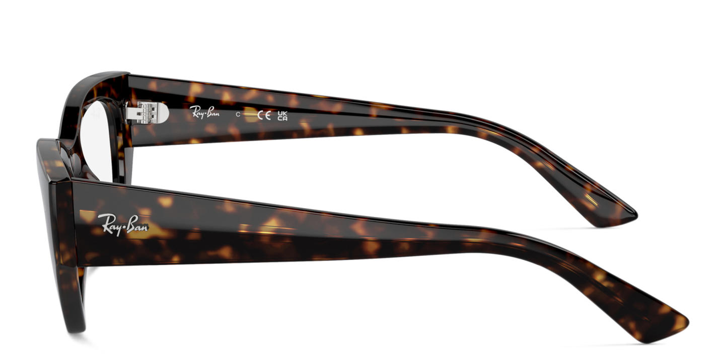 Buy Ray-Ban Zena Optics Bio-Based Unisex Irregular Eyeglasses