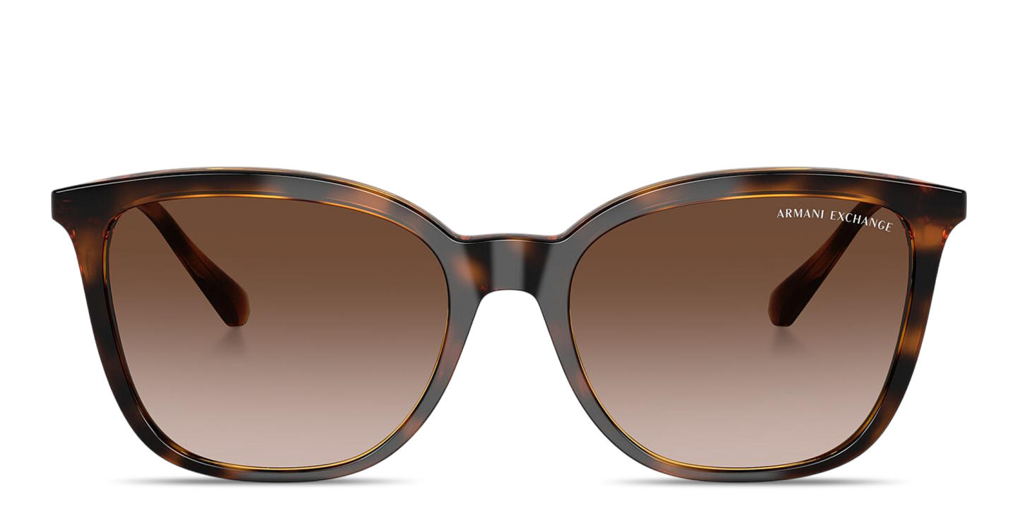 Shop Armani Exchange A|X Logo Butterfly Sunglasses in Havana online.