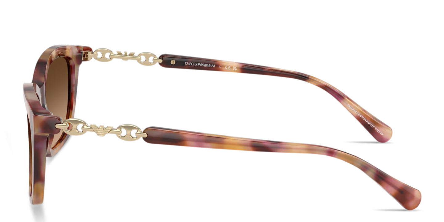 Emporio Armani Eaglo Logo Cat-Eye Sunglasses in Havana – Product Photo 2