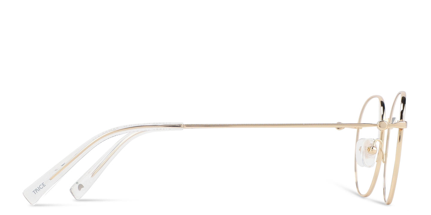 Shop TRICE Logo Round Eyeglasses in Gold online.