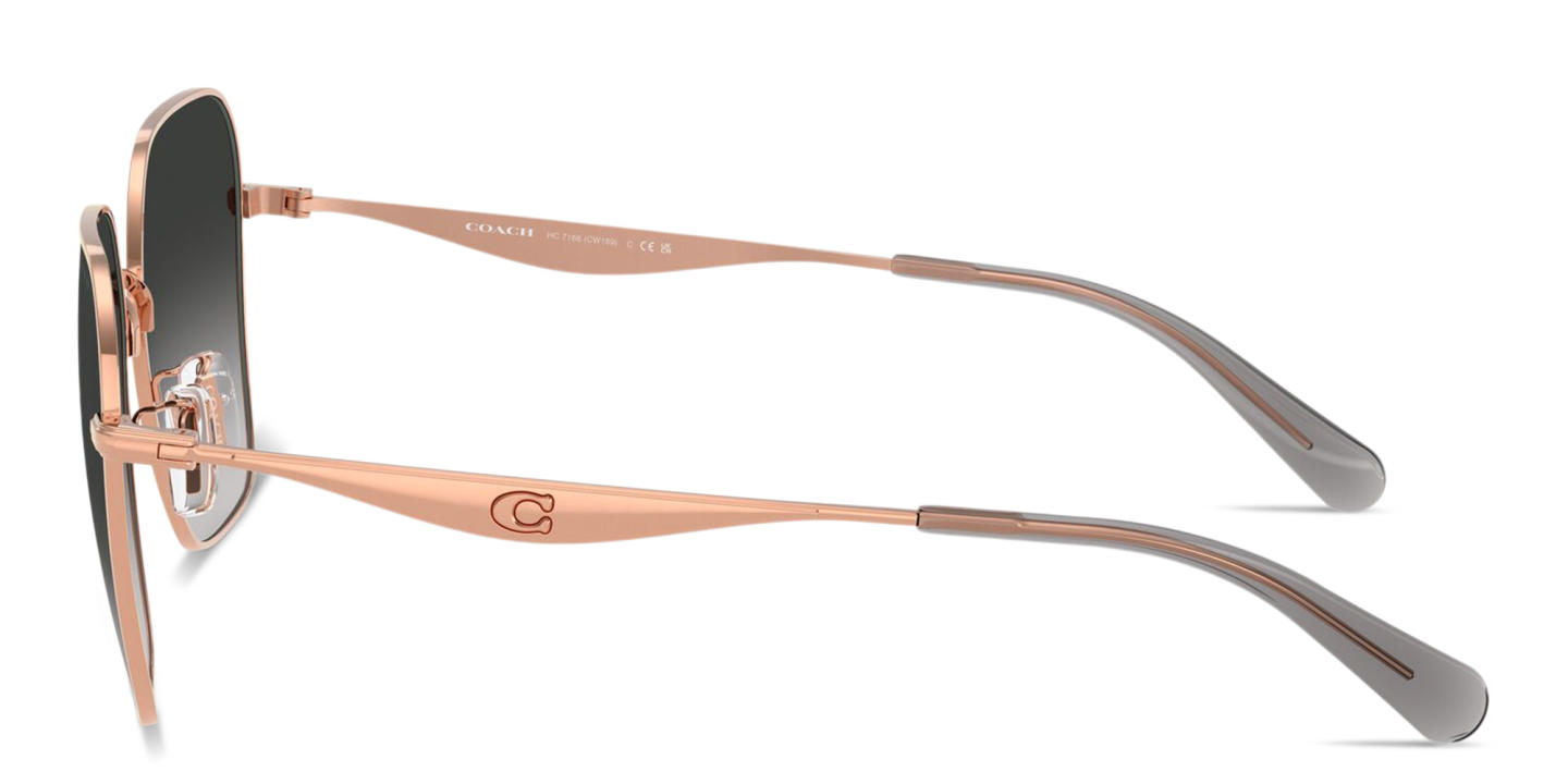 Coach C'Motif Irregular Sunglasses in Rose Gold – Product Photo 2