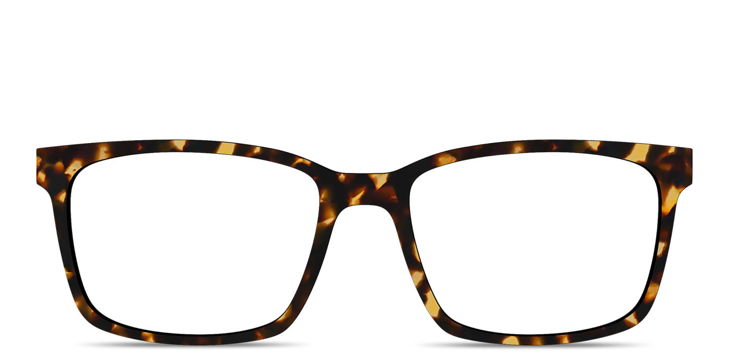 Shop Pair Eyewear The Kirby Top in Tortoise online.