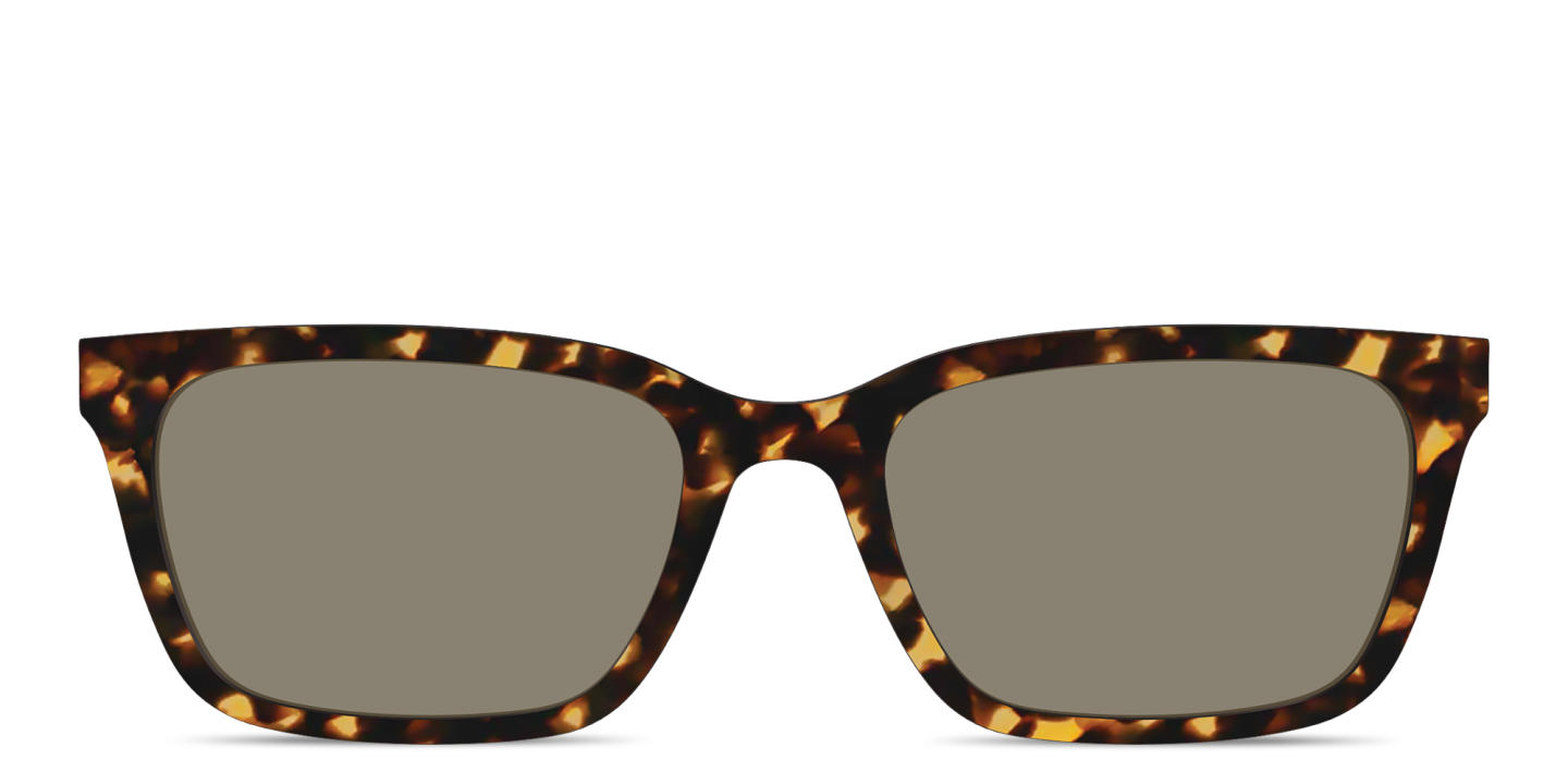 Shop Pair Eyewear The Larkin Sun Top in Tortoise online.
