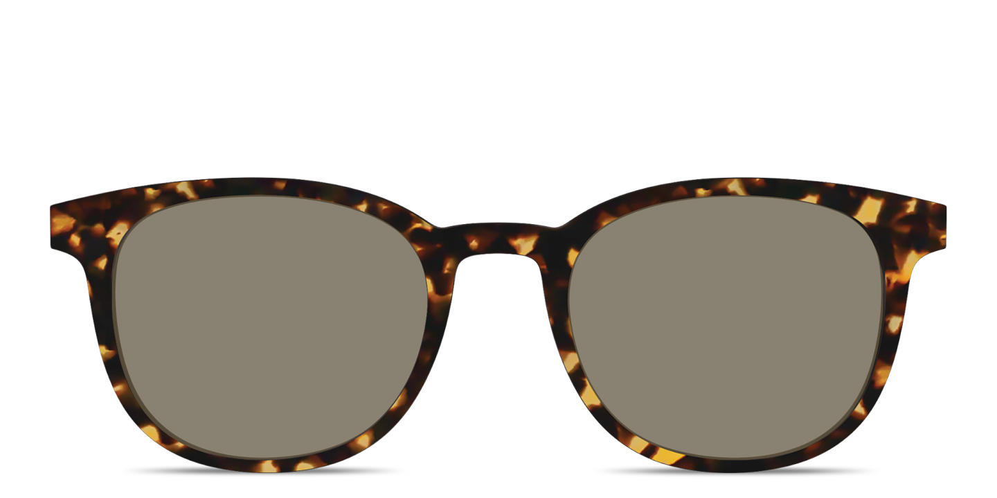 Shop Pair Eyewear The Reese Sun Top in Tortoise online.