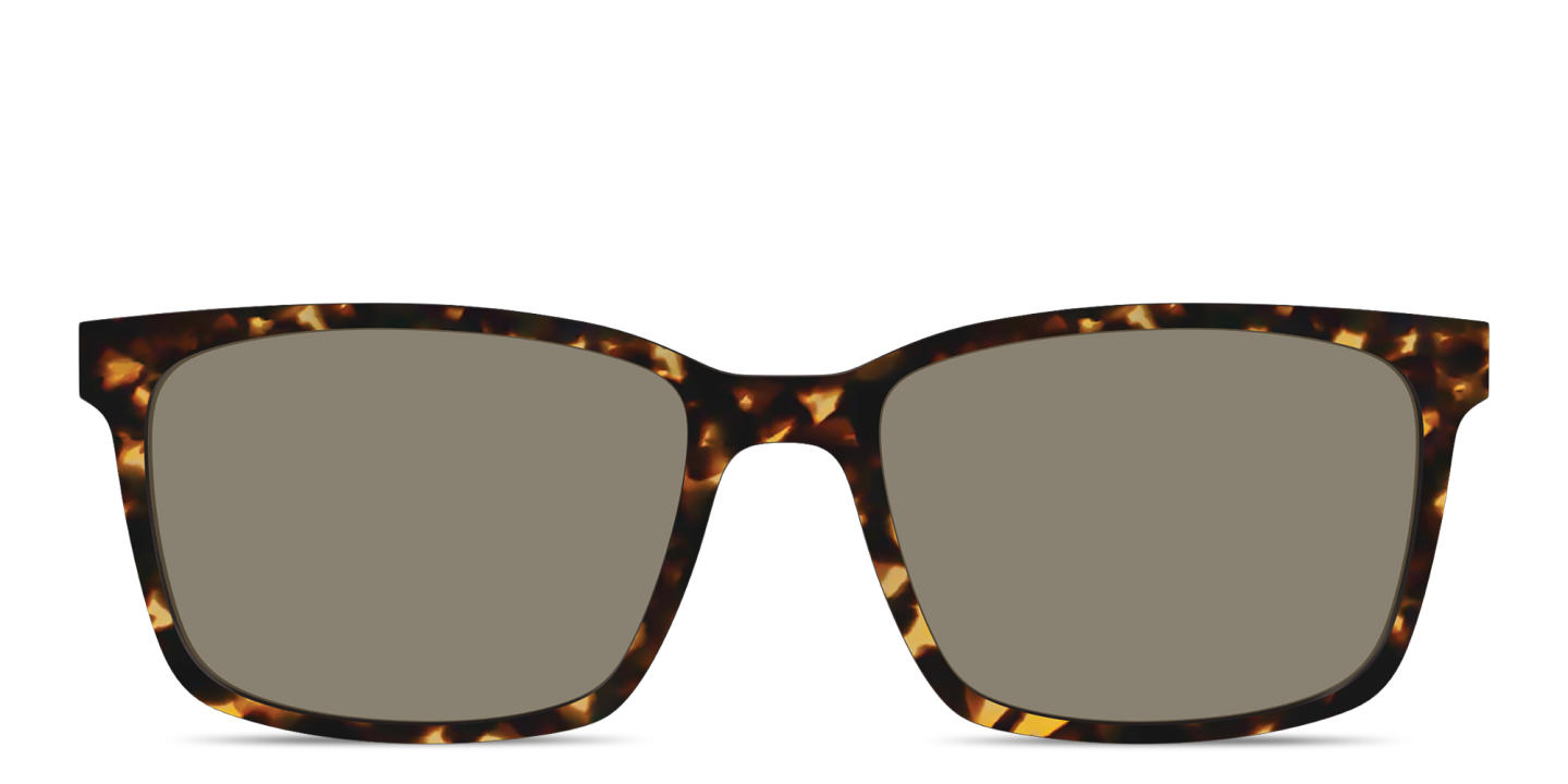 Shop Pair Eyewear The Kirby Sun Top in Tortoise online.