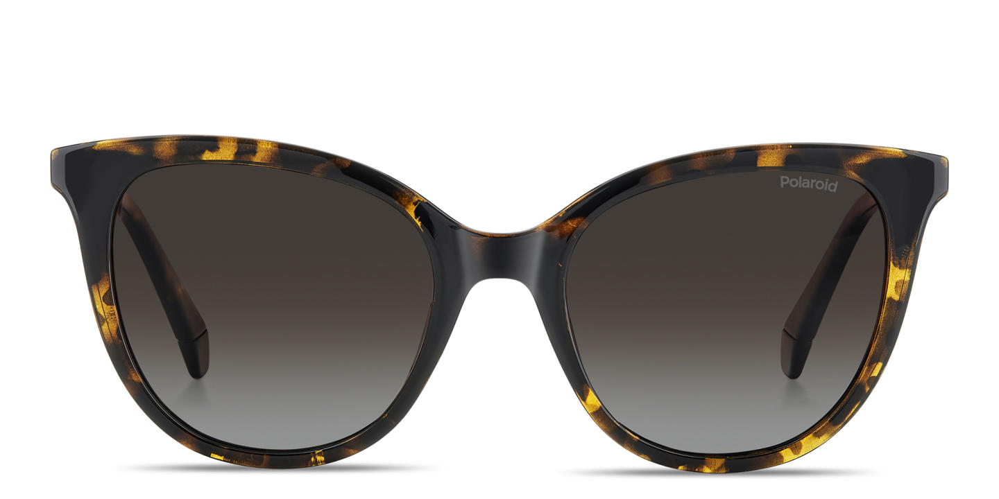 Shop Polaroid Engraved Logo Cat-Eye Sunglasses in Havana online.