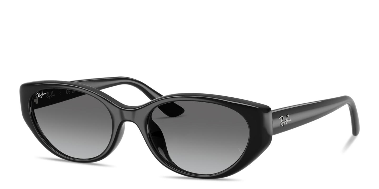 Ray-Ban Logo Signature Unisex Pillow Sunglasses in Black – Product Photo 1