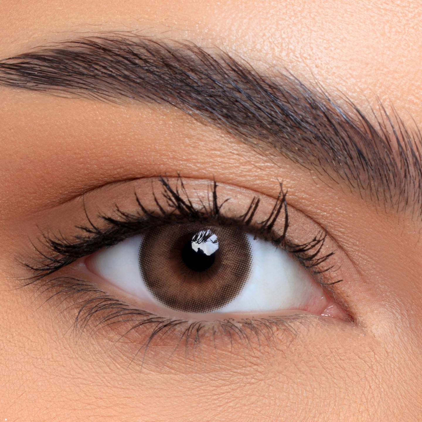 Shop Lensme Monthly Color Contact Lenses - Opal in Opal online.