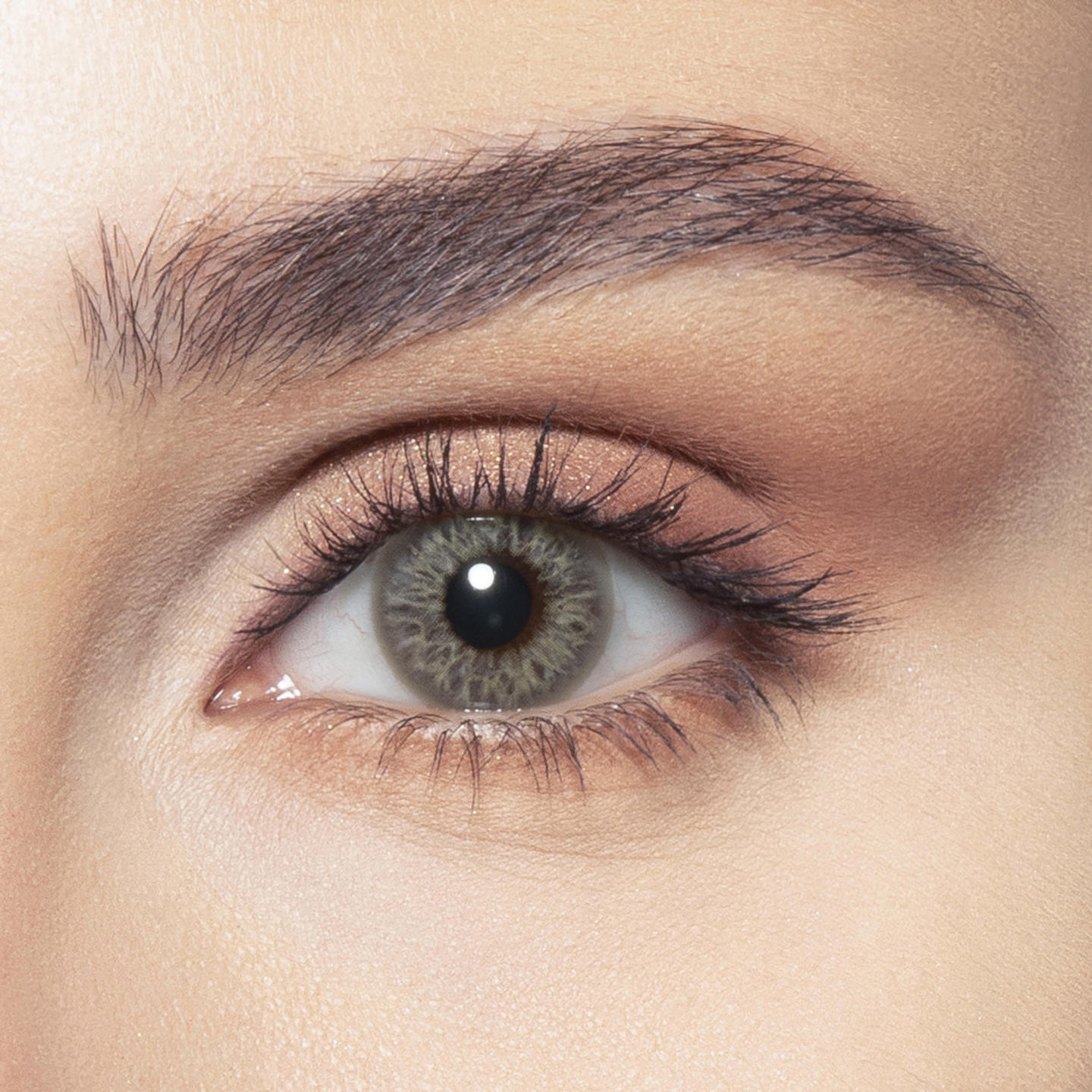 Bella One-Day Color Contact Lenses - Earth in Earth – Product Photo 3